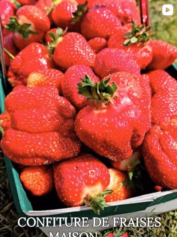 Confiture de fraises