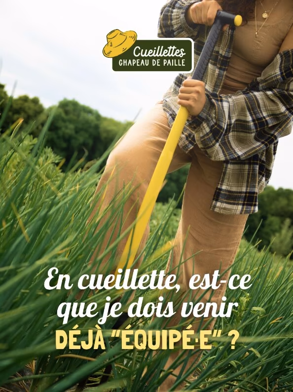 En cueillette, est-ce que je dois venir déjà équipée ?