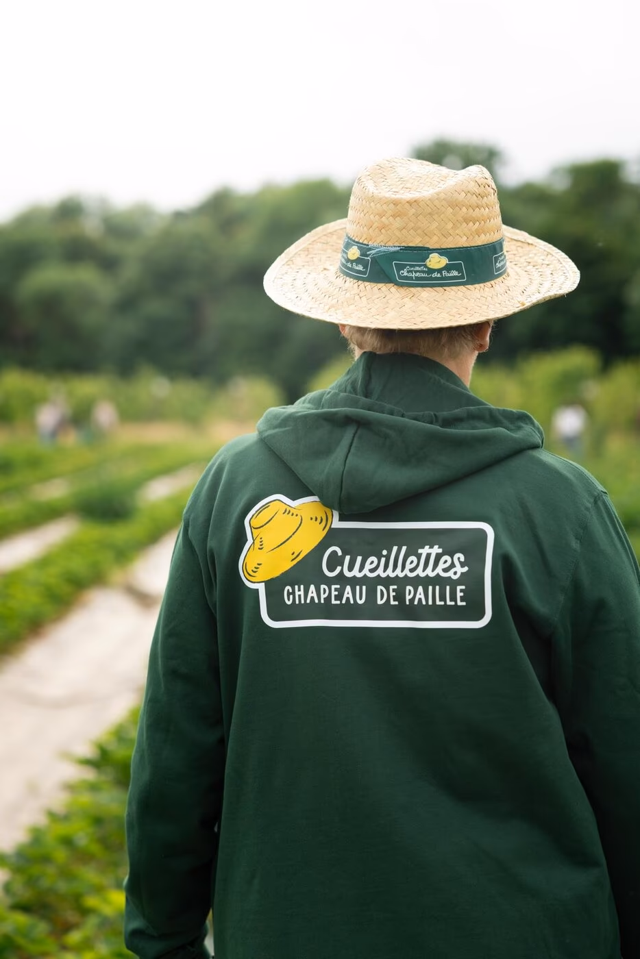Membre de l’équipe dans les allées de la cueillette